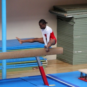Nika aux coupes de Paris 2015, compétition de gymnastique
